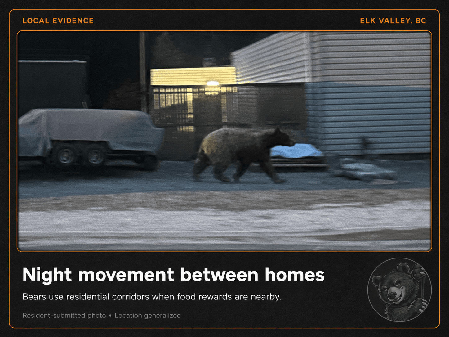 A bear moving between houses at night, captured on a security camera.